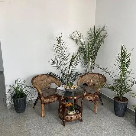 Studio Sea Zen Mamaia Nord * ナボダリ